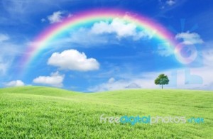 green-field-and-rainbow-10062615