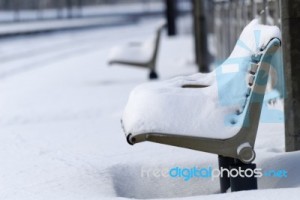 snowy-bench-10012143