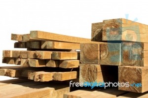 pine-wood-logs-100153321