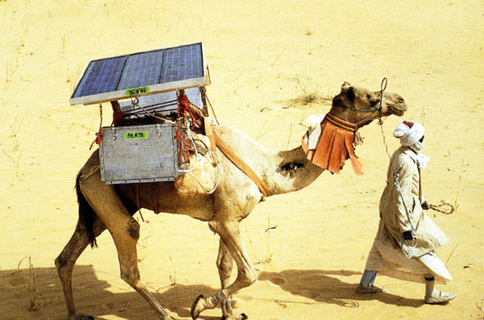 solar-powered-camel-fridge